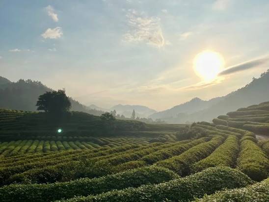 1681187182158012.jpg clip_image022.jpg